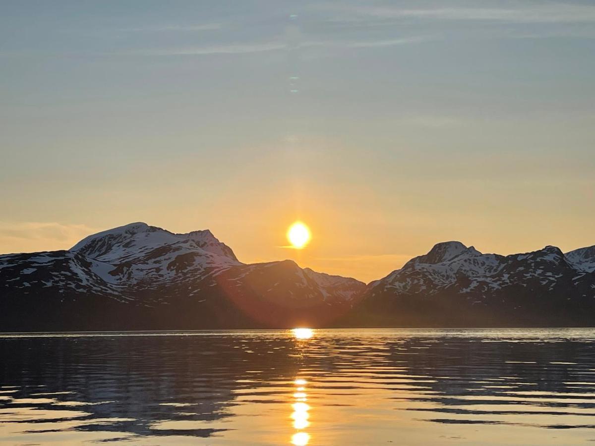 Skittenelv Lodge & Camping Tromso Luaran gambar