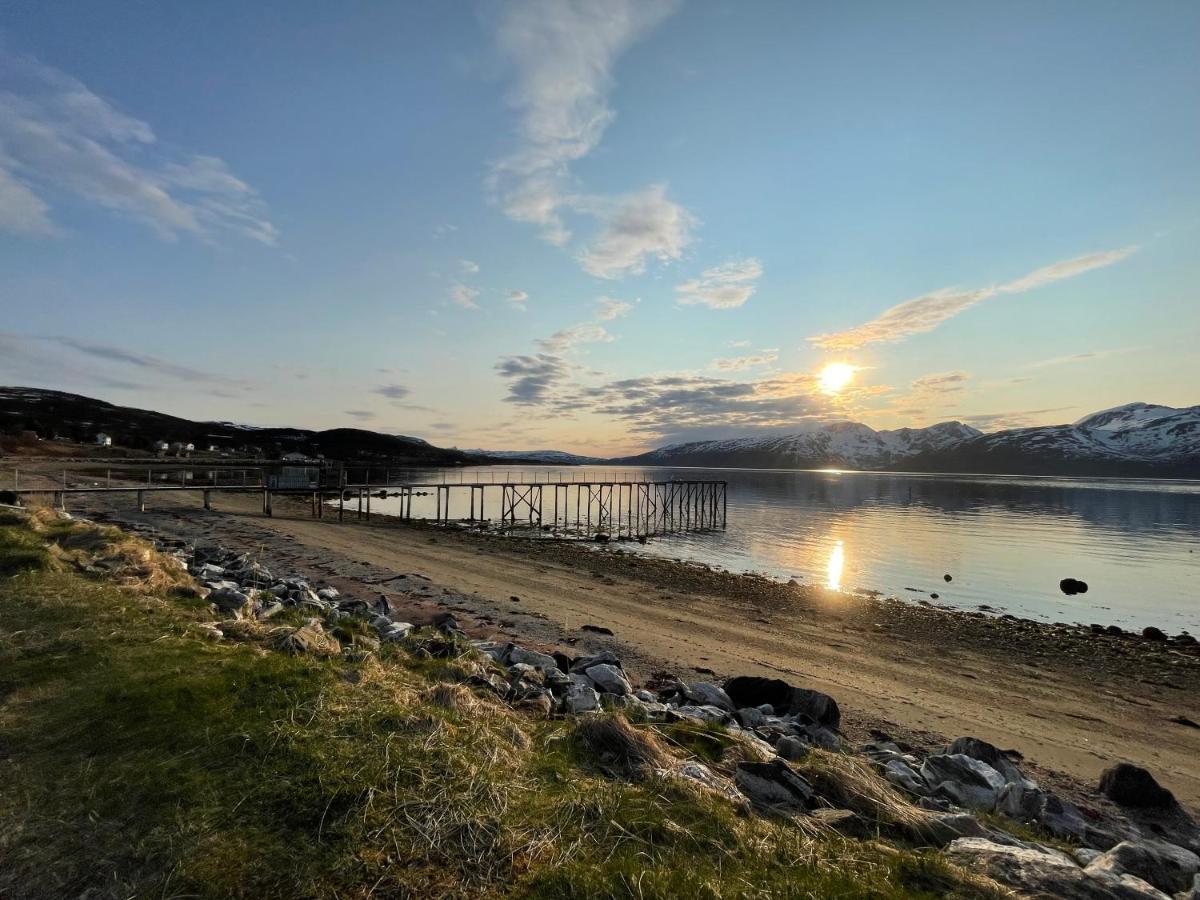 Skittenelv Lodge & Camping Tromso Luaran gambar